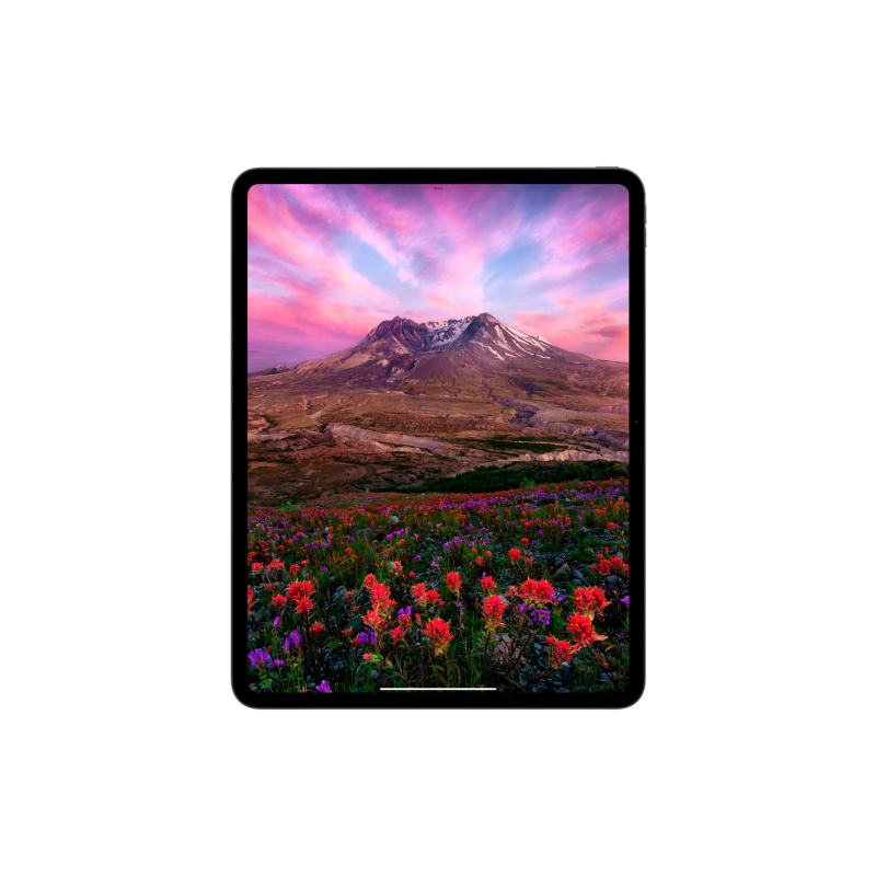 Apple iPad Pro M4, 13” дюймов Wi-Fi + Cellular 2 ТБ Чёрный космос, нанотекстурное стекло