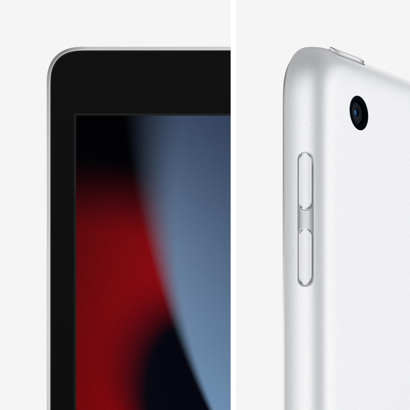 Apple iPad 10,2 (2021) Wi-Fi 256 ГБ, Серебристый